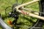 5902262081900_ROWER KROSS Level JR 1.0 M 24 S 8B beżowy połyskvv3.webp