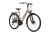 5902262107990_ROWER KROSS Trans 3.0 D 28 L 24B brązowo_srebrny_matv2.webp